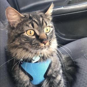 Meet your Posher, Keyonta